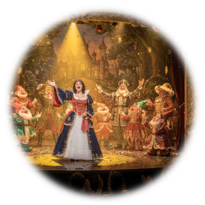 Stage Show VR Rental